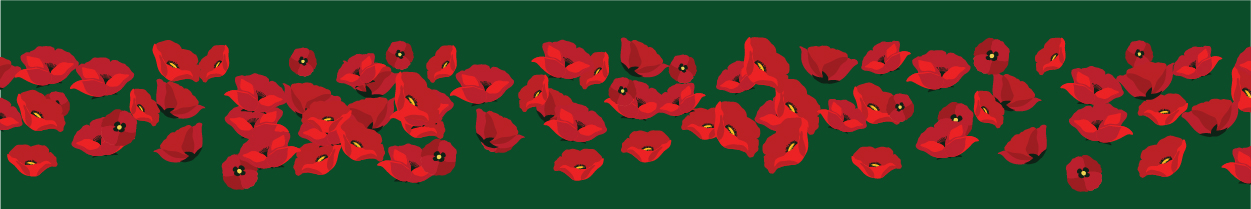 bottom banner of poppy flowers